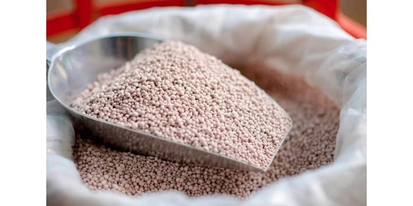 Бізнес на фосфорних добривах: де є маржа та як вибудувати продажі без просідання