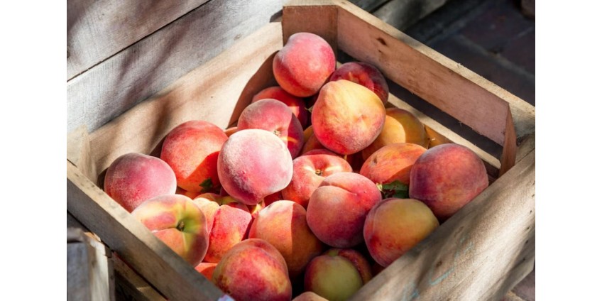 Сонячний смак персика у вашому власному саду