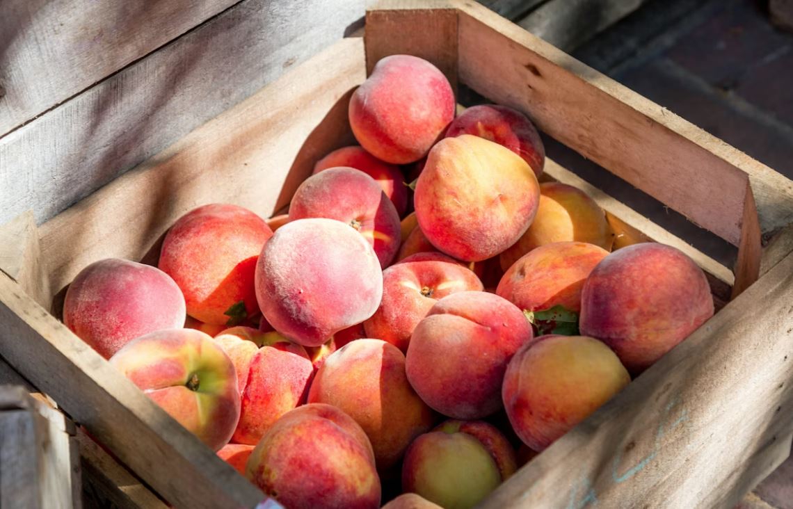 Сонячний смак персика у вашому власному саду